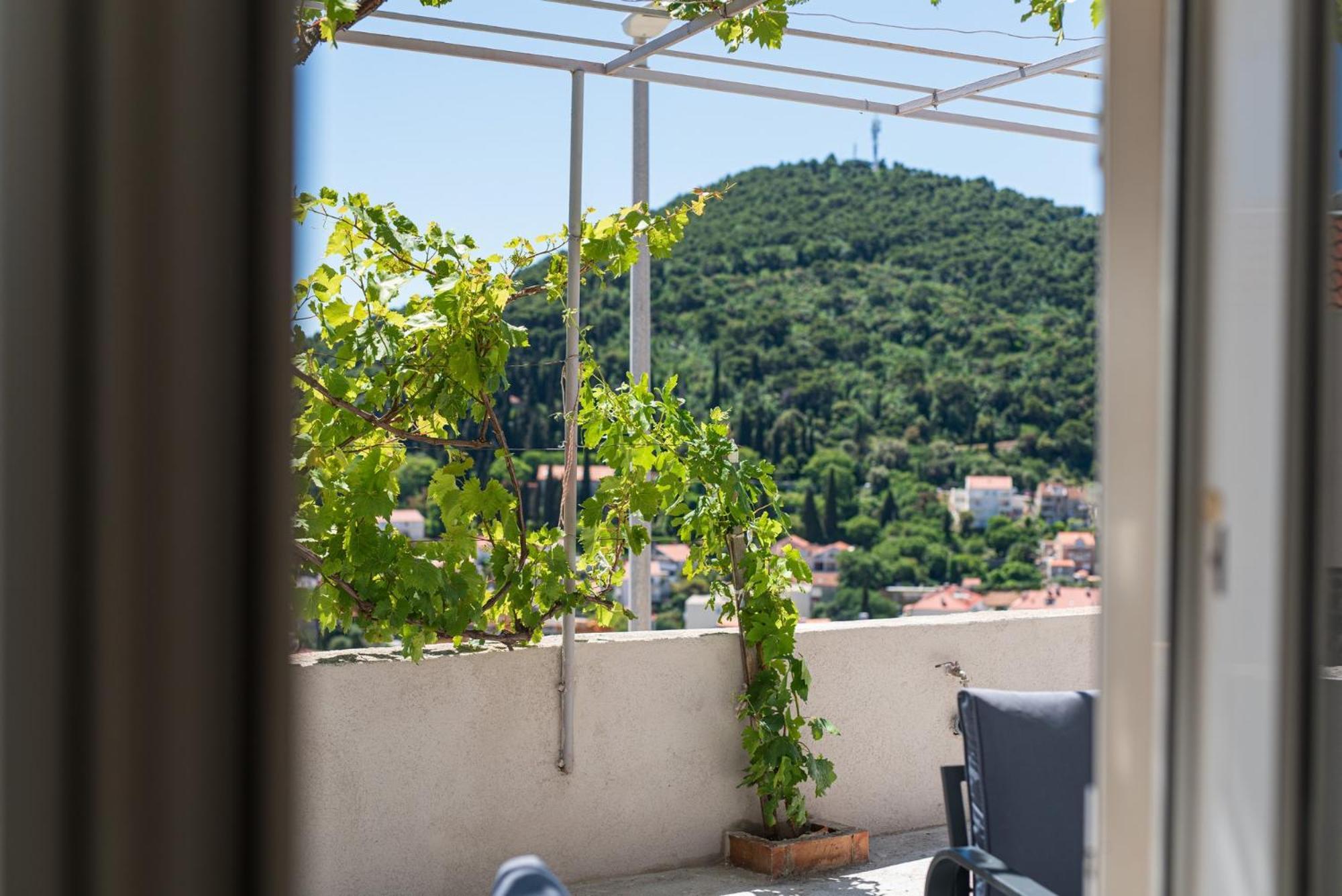 Guesthouse Niko Dubrovnik Bagian luar foto